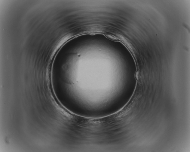 X0000091451243200708231248