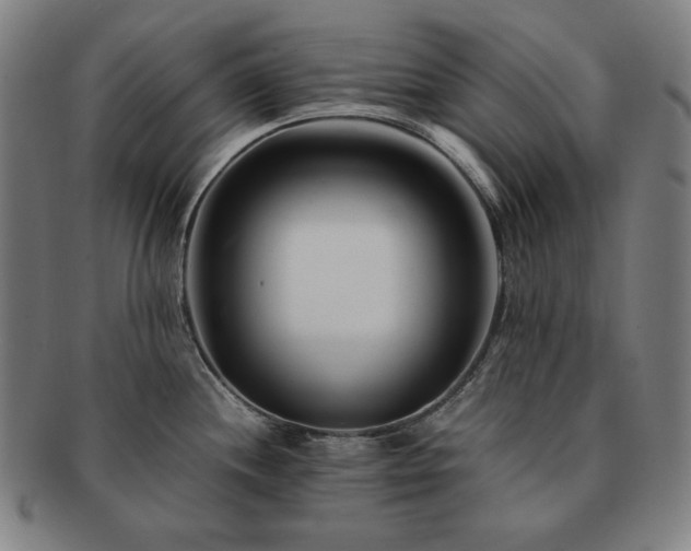 X0000091451244200708231248