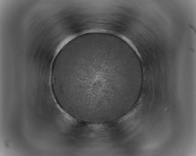 X0000091451245200708231248