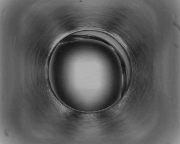 X0000091451246200708231248