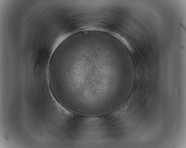 X0000091451247200708231248