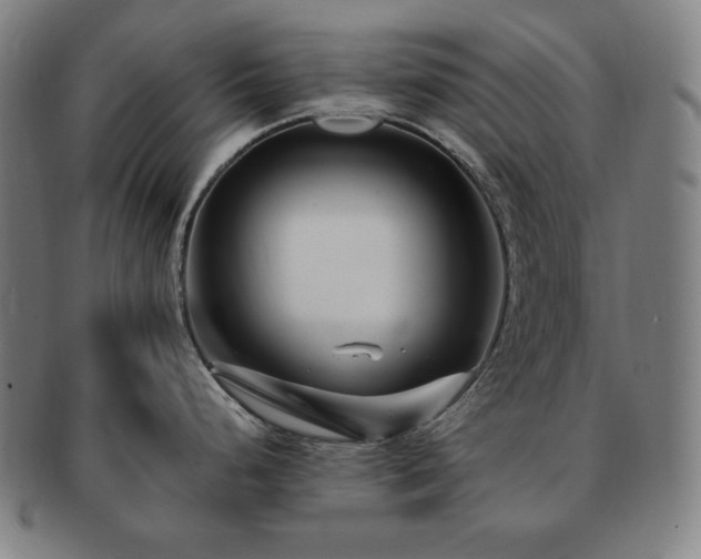 X0000091451248200708231248