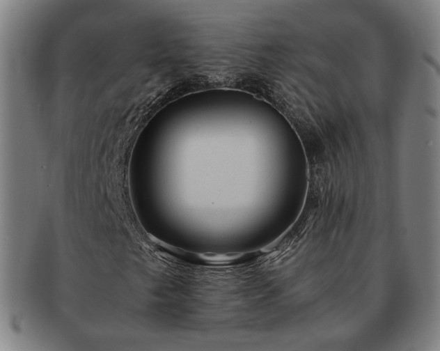 X0000091451249200708231247