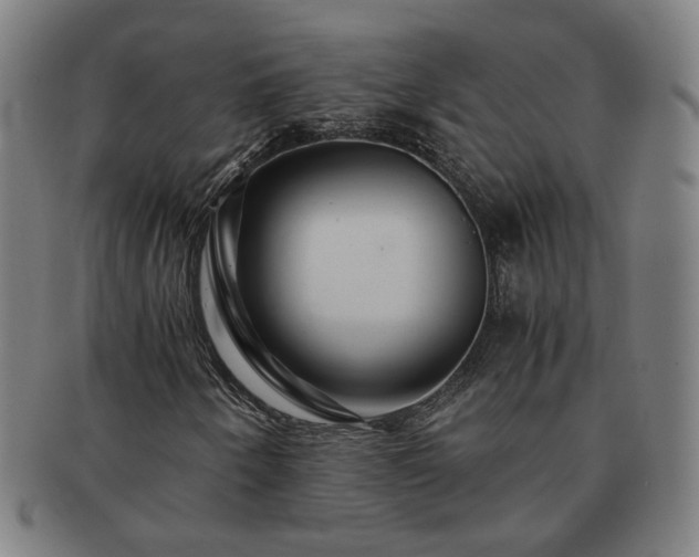 X0000091451250200708231247
