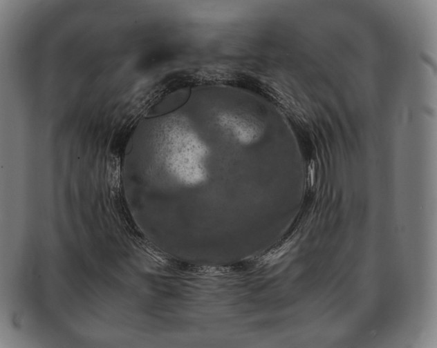 X0000091451251200708231247