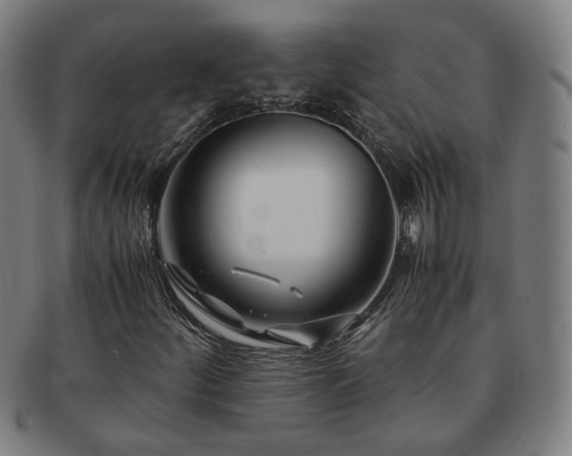 X0000091451252200708231247