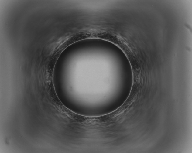 X0000091451253200708231247