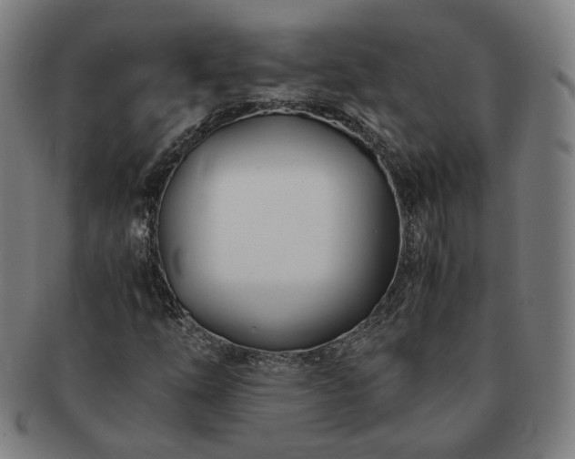 X0000091451254200708231247