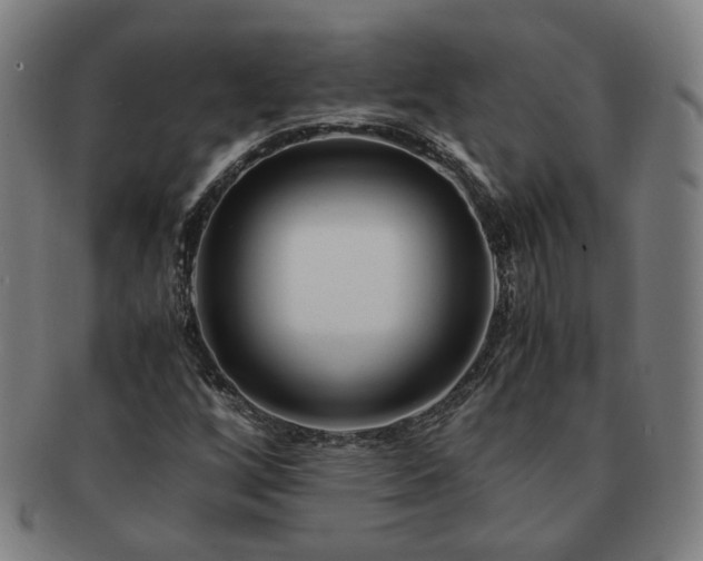 X0000091451256200708231247