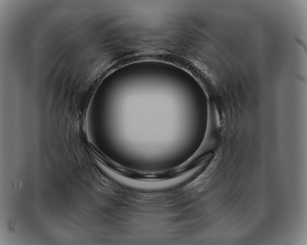 X0000091451257200708231247