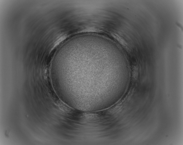 X0000091451258200708231247