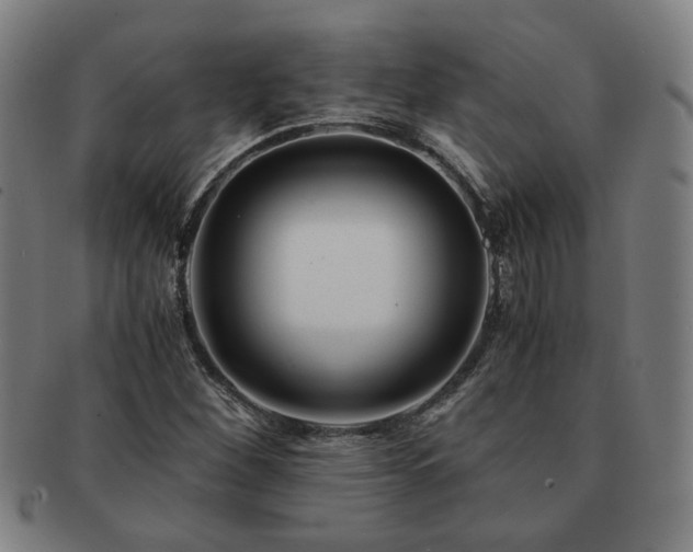 X0000091451260200708231247
