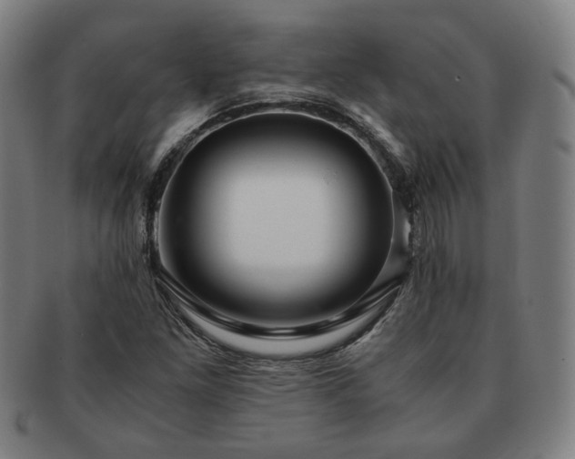 X0000091451261200708231247