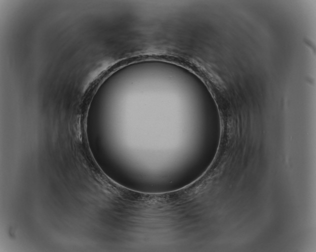 X0000091451262200708231247