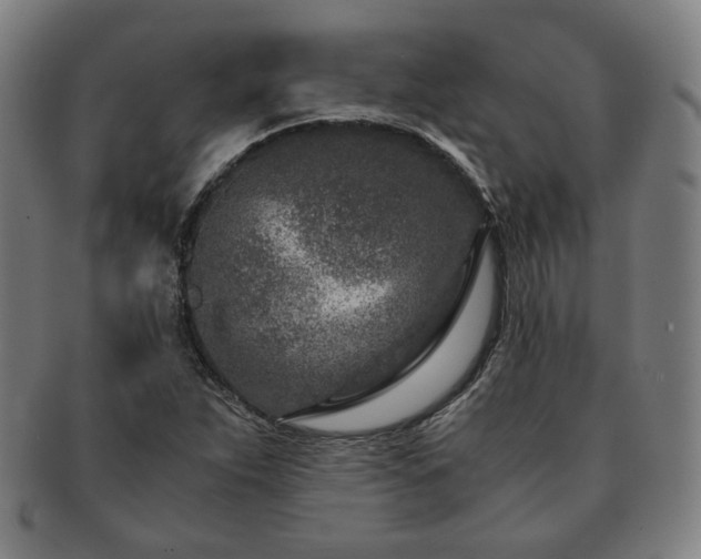 X0000091451263200708231247