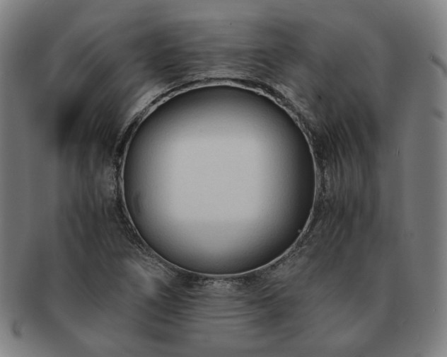 X0000091451266200708231247