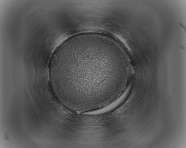X0000091451267200708231247