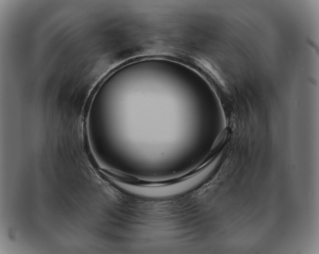 X0000091451268200708231247