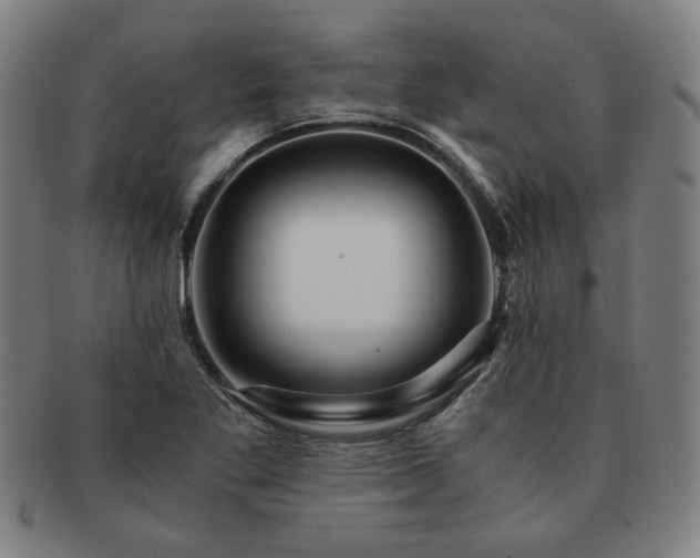 X0000091451269200708231247