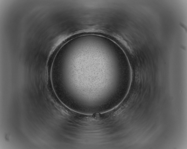 X0000091451270200708231247