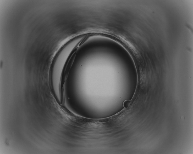 X0000091451272200708231247