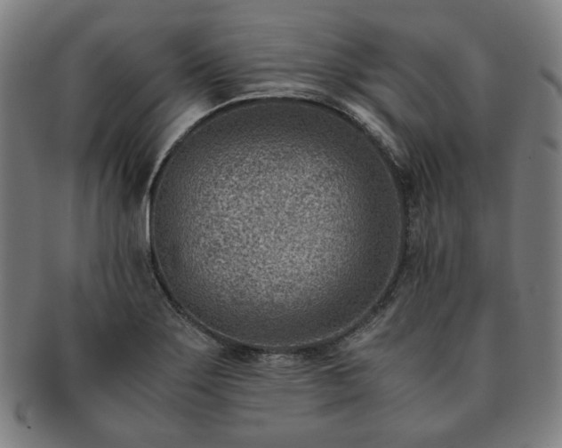 X0000091451275200708231247