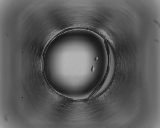 X0000091451276200708231247
