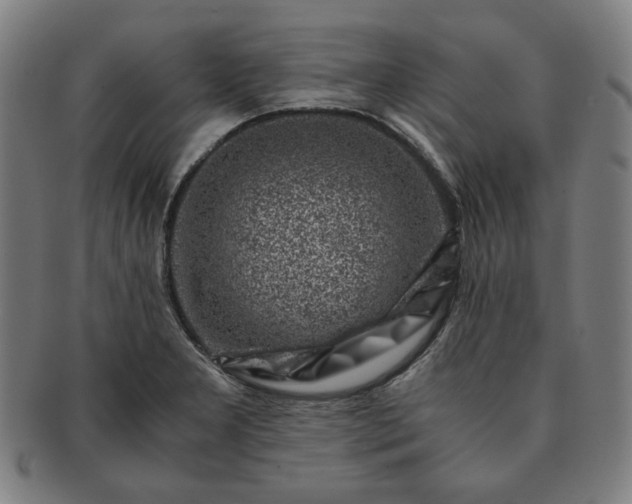 X0000091451277200708231247