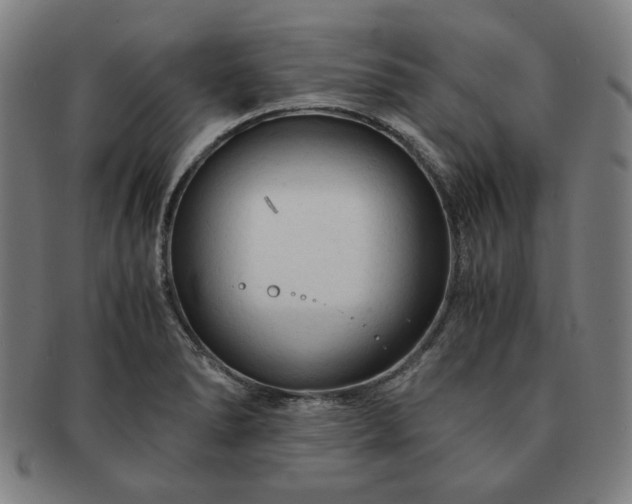 X0000091451278200708231247