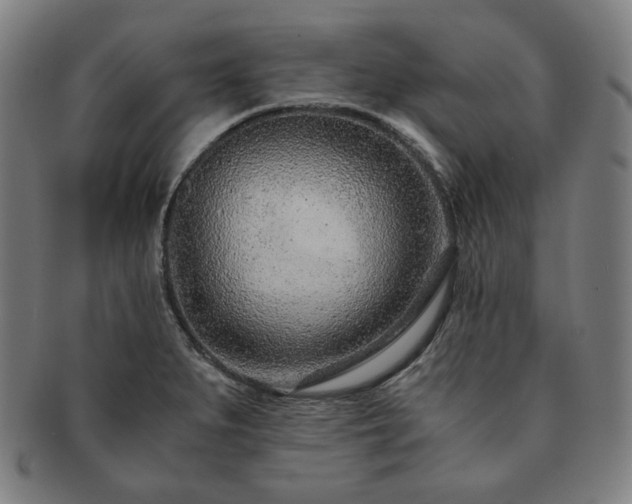 X0000091451279200708231247