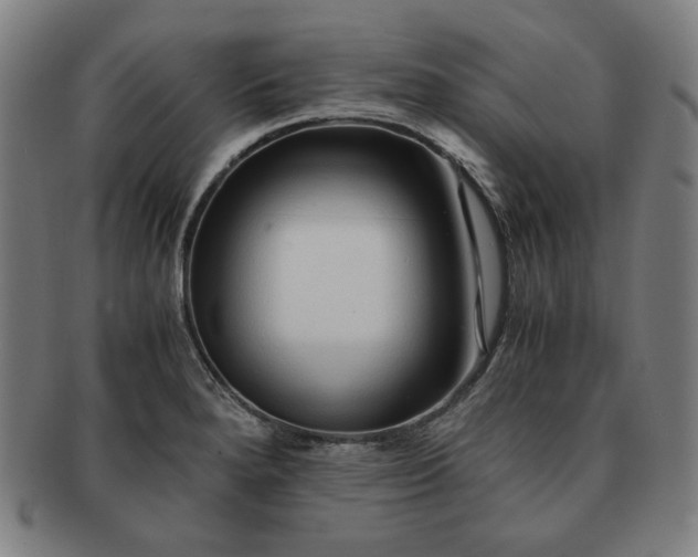 X0000091451280200708231247