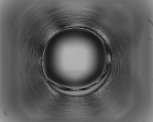 X0000091451281200708231247
