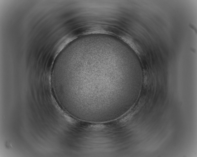 X0000091451282200708231247