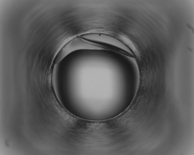 X0000091451284200708231247