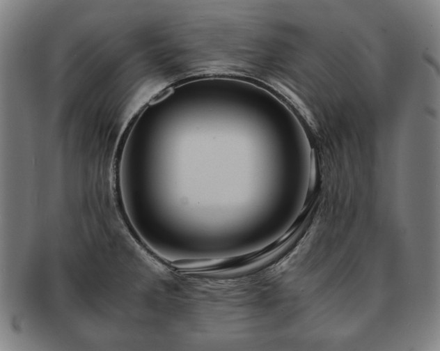X0000091451285200708231247