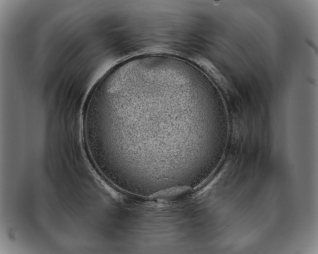X0000091451286200708231247