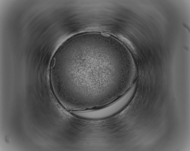 X0000091451288200708231247