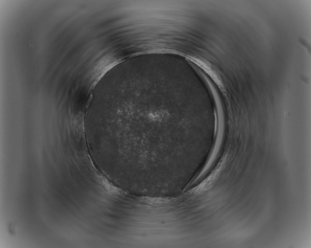 X0000091451289200708231247