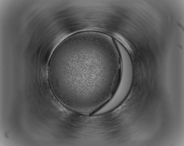X0000091451292200708231247