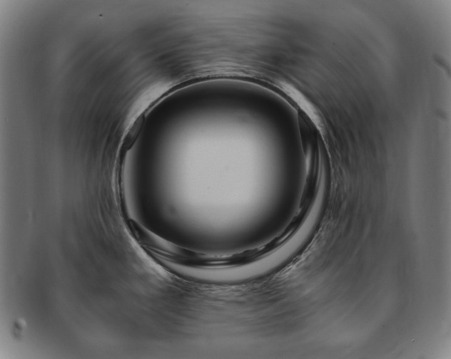 X0000091451293200708231247