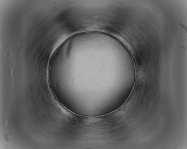 X0000091451294200708231247