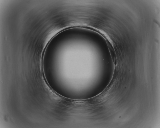 X0000091451295200708231247