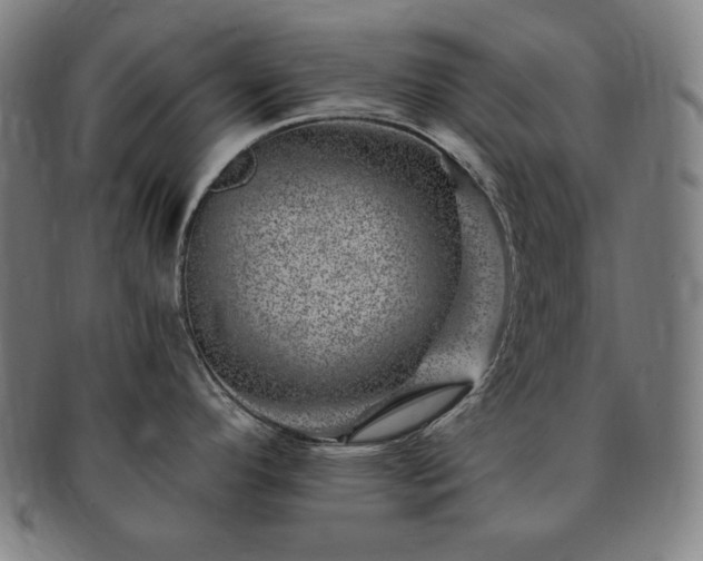 X0000091451296200708231247