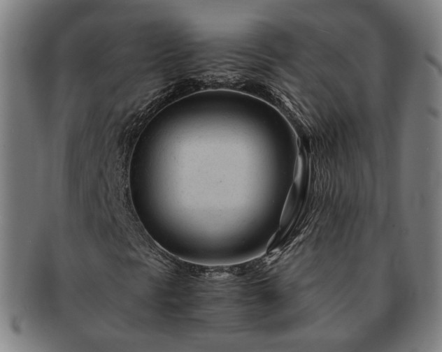 X0000091451297200708231246