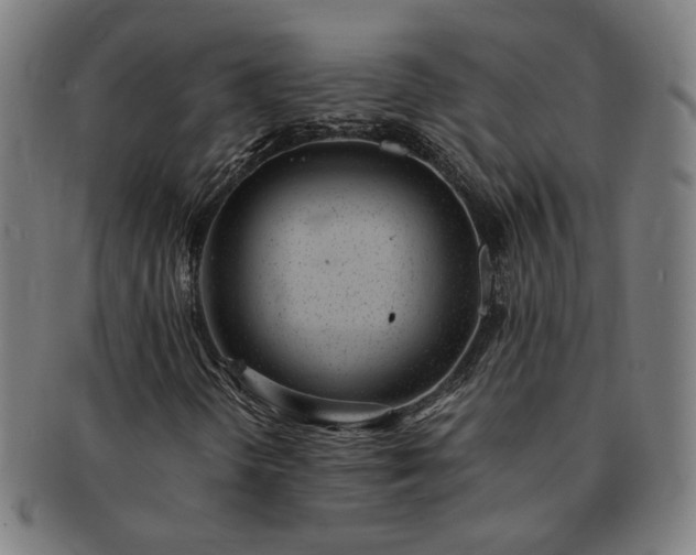 X0000091451298200708231246