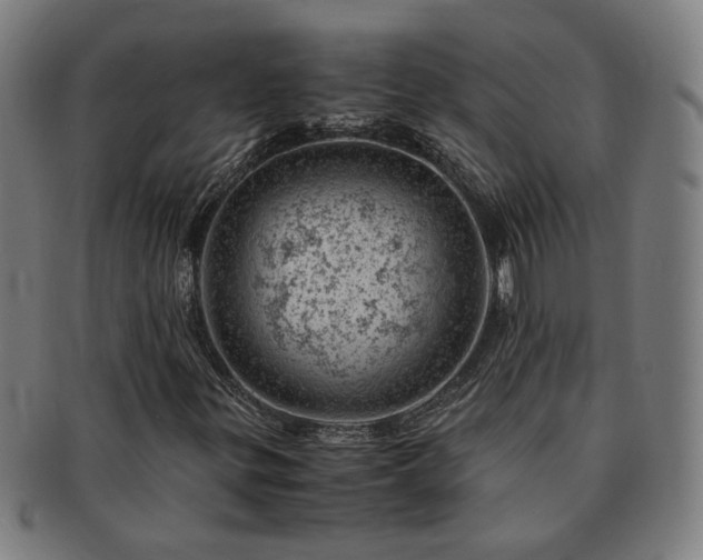 X0000091451299200708231246