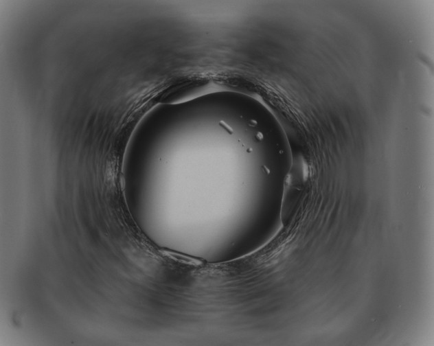 X0000091451300200708231246