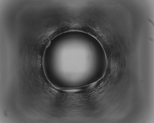 X0000091451301200708231246