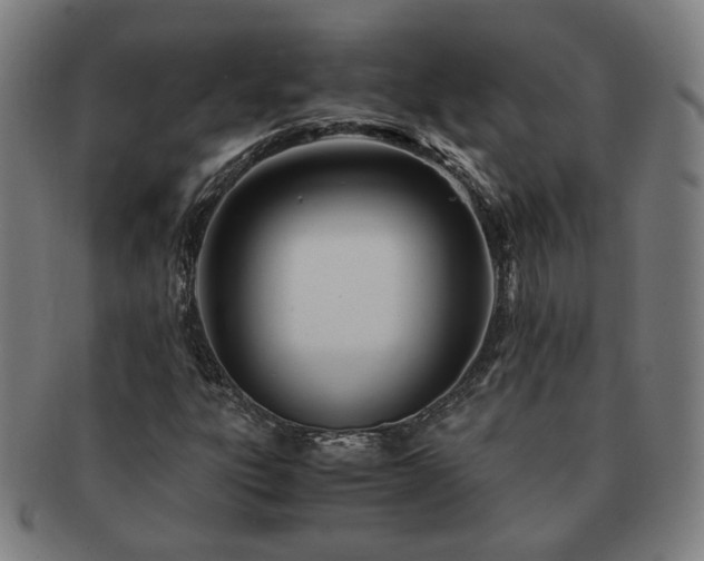 X0000091451303200708231246