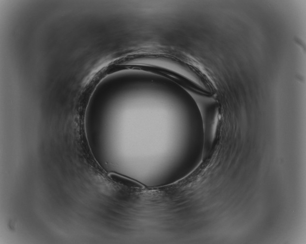 X0000091451304200708231246